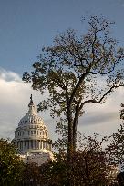 United States Capitol Building