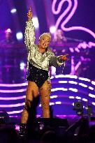 P!nk Summer Carnival Tour 2024