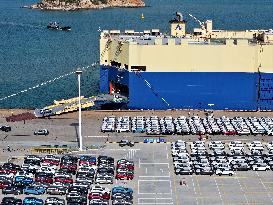 Vehicles Export in Lianyungang Port