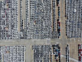 Vehicles Export in Lianyungang Port