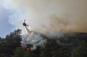 Wildfire Forces Thousands To Evacuate - California