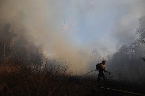 Wildfire Forces Thousands To Evacuate - California