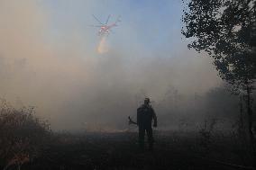 Wildfire Forces Thousands To Evacuate - California