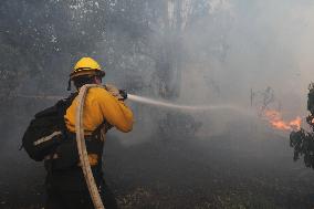 Wildfire Forces Thousands To Evacuate - California