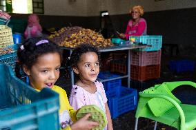 Tunisia Fresh Food Produce