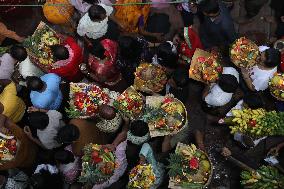 Last Day Of Chhath Puja Festival In Kolkata, India - 08 Nov 2024