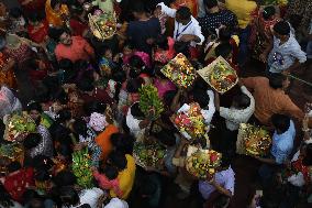 Last Day Of Chhath Puja Festival In Kolkata, India - 08 Nov 2024