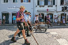 Yearly Goat Down Drive In Mittenwald: A Vibrant Slice Of Bavarian Culture. Bavaria Is One Of The Top Travel Destinations In Lone