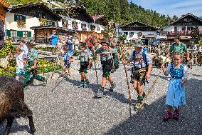 Yearly Goat Down Drive In Mittenwald: A Vibrant Slice Of Bavarian Culture. Bavaria Is One Of The Top Travel Destinations In Lone