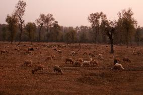 Autumn Season In Kashmir