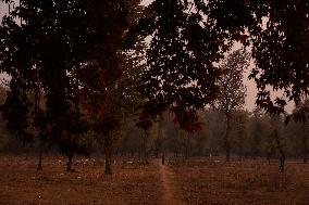 Autumn Season In Kashmir