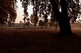 Autumn Season In Kashmir