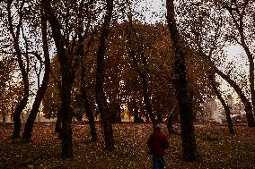 Autumn Season In Kashmir