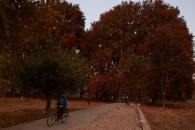 Autumn Season In Kashmir