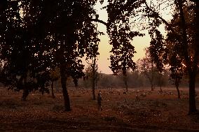 Autumn Season In Kashmir