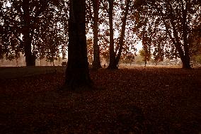 Autumn Season In Kashmir