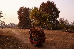 Autumn Season In Kashmir