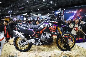 EICMA Illustrations - Italy