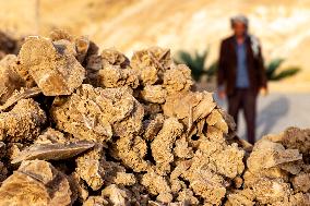 Daily Life In Tunisia