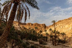 Daily Life In Tunisia