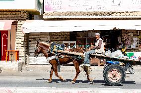 Daily Life In Tunisia