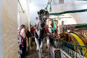 Daily Life In Tunisia