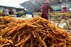 Sweet Potato Processing