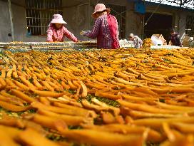 Sweet Potato Processing