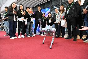 Robot Perform at 7TH CIIE in Shanghai