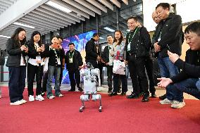 Robot Perform at 7TH CIIE in Shanghai