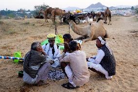 Annual Camel Fair - India