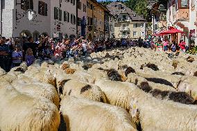 Yearly Bavarian Sheep Shepherd’s Parade. Mittenwald’s Autumn Tradition