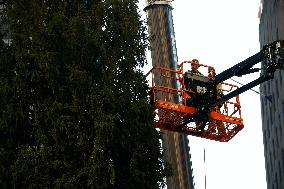 Rockefeller Center Christmas Tree Comes To New York City