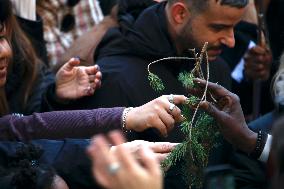 Rockefeller Center Christmas Tree Comes To New York City