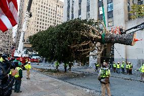 Rockefeller Center Christmas Tree Comes To New York City