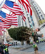 Rockefeller Center Christmas Tree Comes To New York City