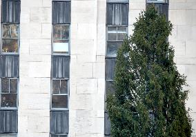 Rockefeller Center Christmas Tree Comes To New York City