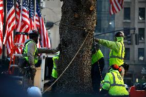 Rockefeller Center Christmas Tree Comes To New York City