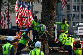 Rockefeller Center Christmas Tree Comes To New York City