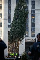 Rockefeller Center Christmas Tree Comes To New York City