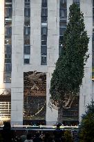 Rockefeller Center Christmas Tree Comes To New York City