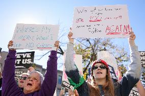 Women's Rights Protest In Washington After Election