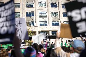 Women's Rights Protest In Washington After Election