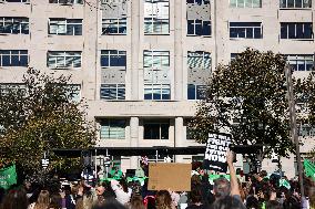 Women's Rights Protest In Washington After Election