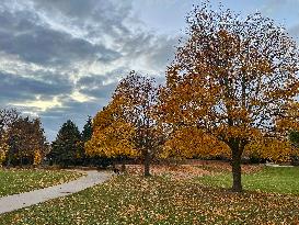 Autumn Season In Toronto, Canada