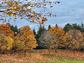 Autumn Season In Toronto, Canada