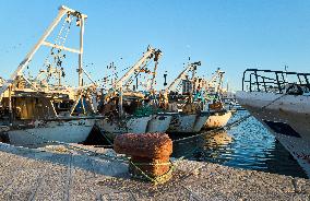 Fishing Boats Docked At Mola Di Bari Harbor