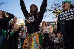 Women's March Held In Washington DC