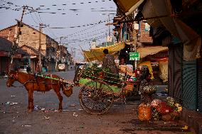 Daily Life In Kashmir