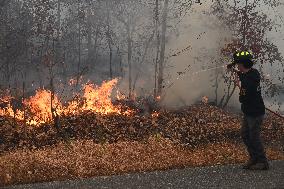 Firefighters Battle Wildfire In Greenwood Lake New York Following Death Of New York State Parks Employee Fighting Fire